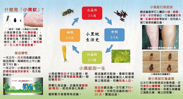 摺頁-1A